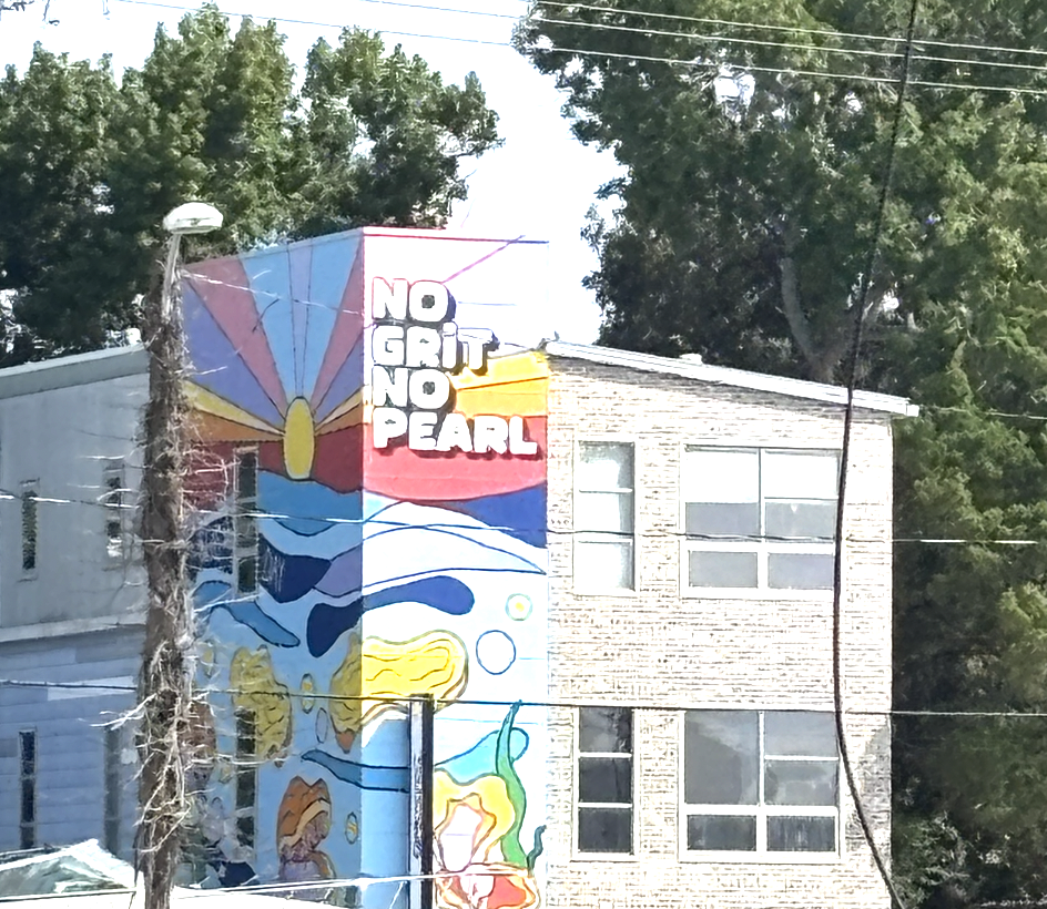 no grit no pearl